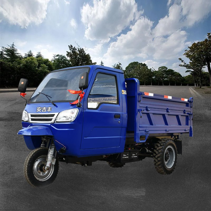 Cargo Gasoline Tricycle Other Tricycles Motorized Tricycles