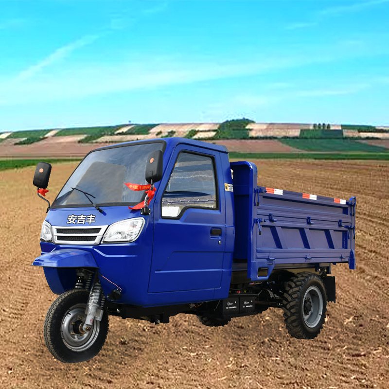 Cargo Gasoline Tricycle Other Tricycles Motorized Tricycles