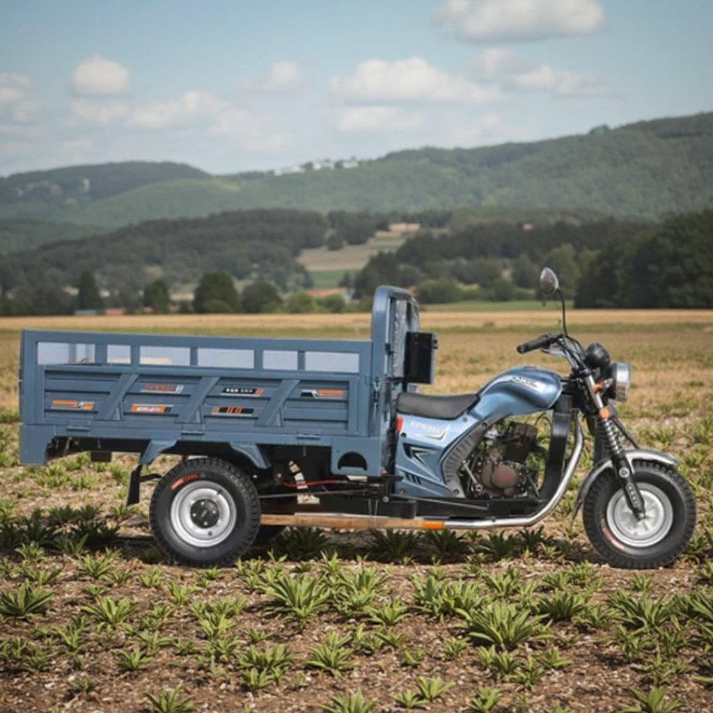Motorcycle Gasoline Tricycle Agricultural Vehicle Freight Household Dump Truck Tricycle Motorcycle Three-Wheeled