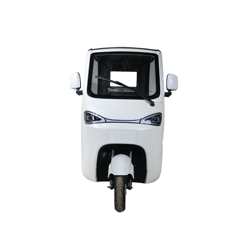 QSD New Design Eco-Friendly 1000W Power Electric Auto Rickshaw Eco-Tricycle Passenger E Tuk Tuk Toto 3 wheel electric scooter