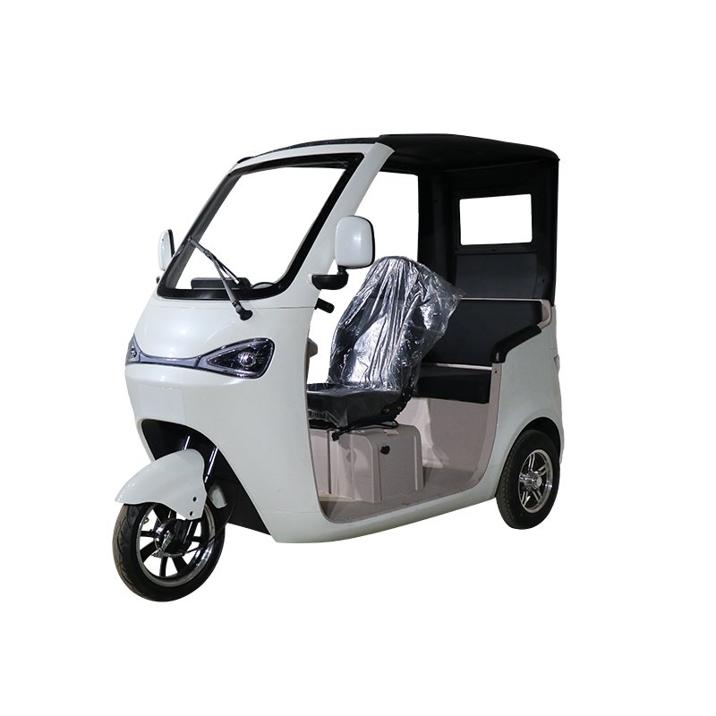 QSD New Design Eco-Friendly 1000W Power Electric Auto Rickshaw Eco-Tricycle Passenger E Tuk Tuk Toto 3 wheel electric scooter