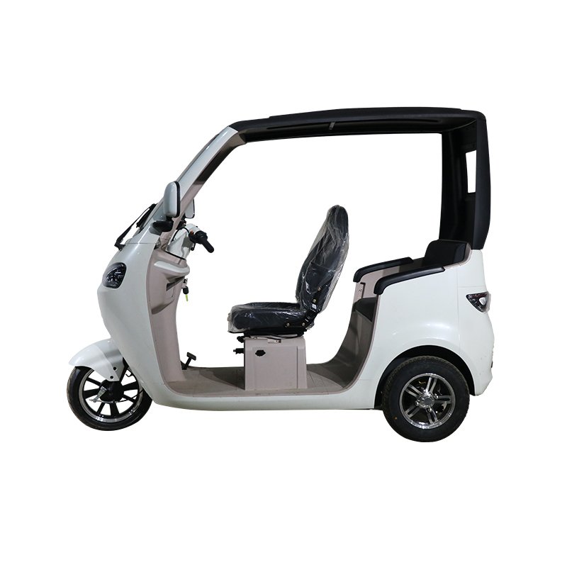 QSD New Design Eco-Friendly 1000W Power Electric Auto Rickshaw Eco-Tricycle Passenger E Tuk Tuk Toto 3 wheel electric scooter