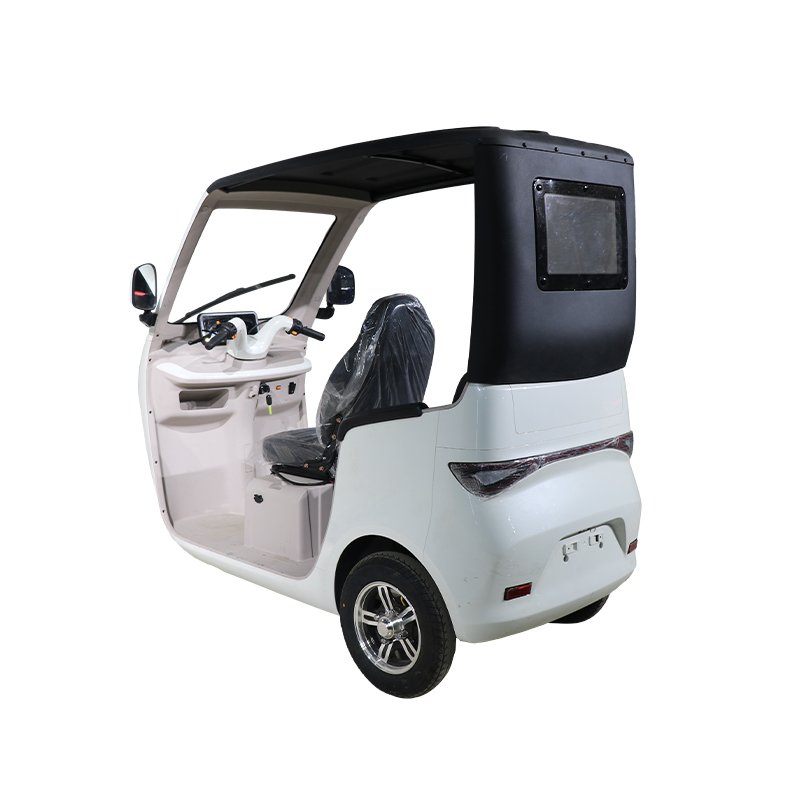 QSD New Design Eco-Friendly 1000W Power Electric Auto Rickshaw Eco-Tricycle Passenger E Tuk Tuk Toto 3 wheel electric scooter