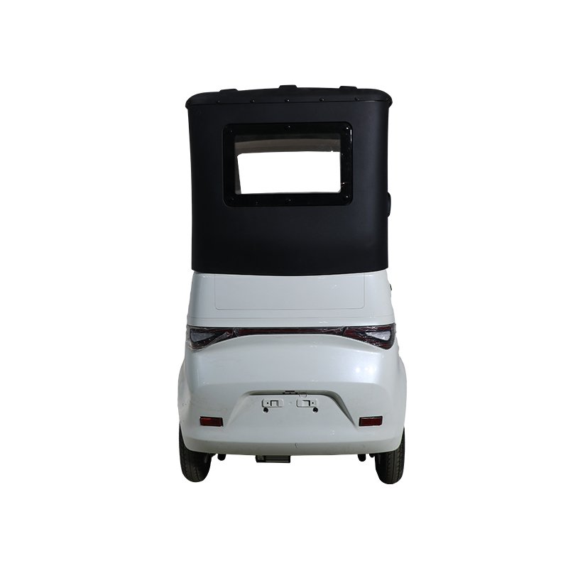 QSD New Design Eco-Friendly 1000W Power Electric Auto Rickshaw Eco-Tricycle Passenger E Tuk Tuk Toto 3 wheel electric scooter