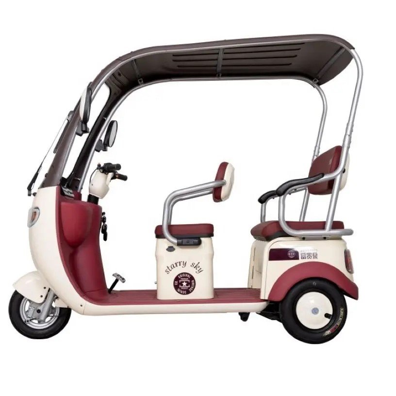 Professional Manufacturer Powerful Electric Tricycle Compact Electric Tricycle for Urban Commuting Space Saving Efficient
