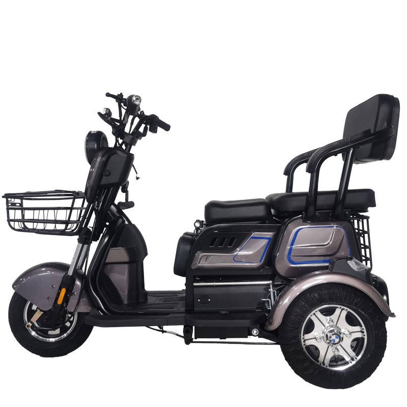Hot Selling Adult Electric Tricycle 3 Wheel Tricycle Electric Bike Folding Electric Tricycle