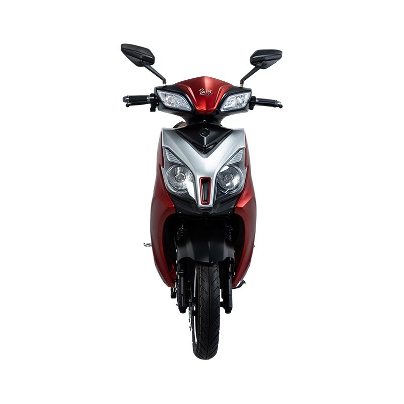 T3 Hot Selling 1000W 45km/h Front Disc Brake and Rear Drum Brake Electric Motorcycle Electric Bicycle