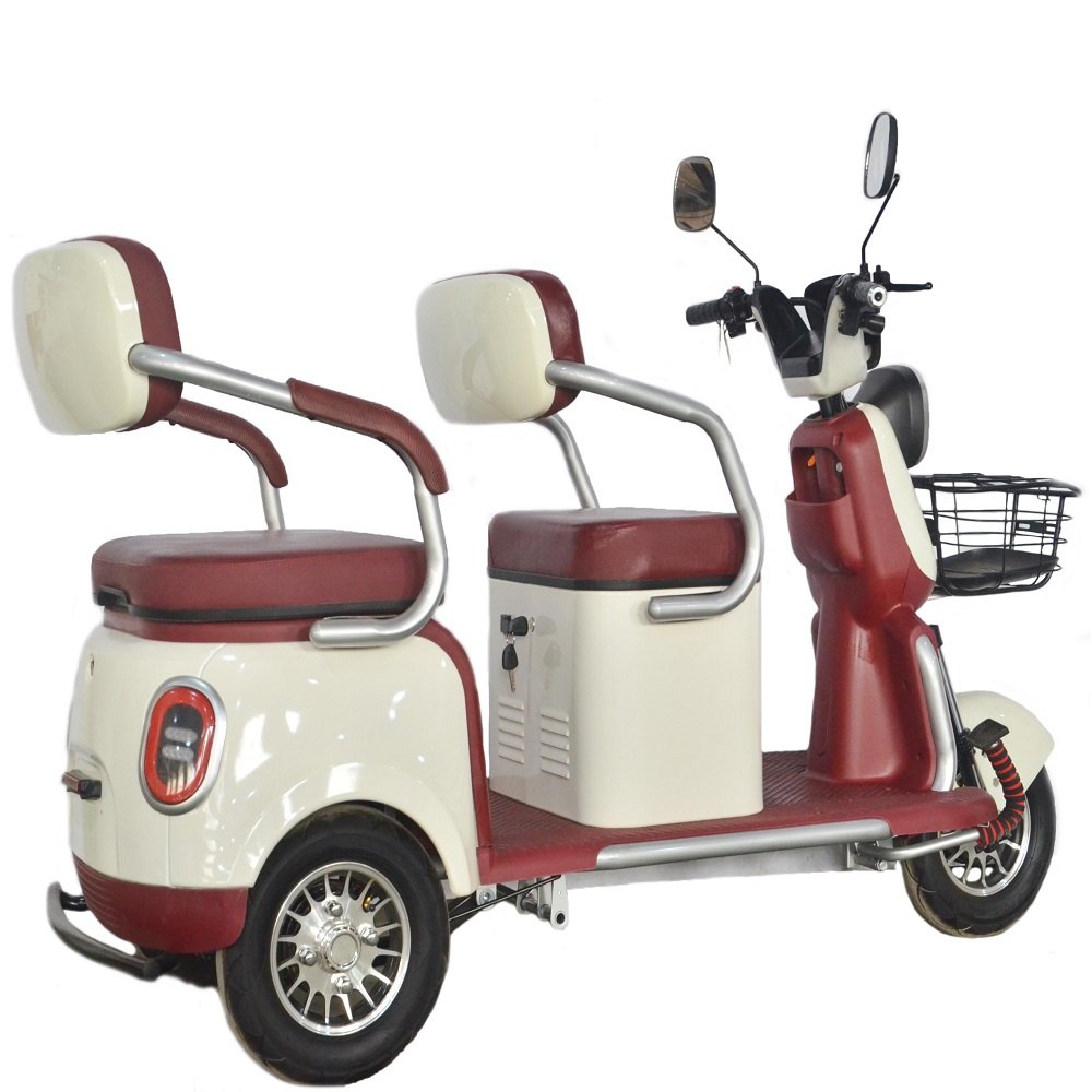 Widely Use 800W Electric Tricycles 3 Wheel Electric Cargo Bike Family Use 2 Seats Electric Scooter 3 Wheel Tricycle