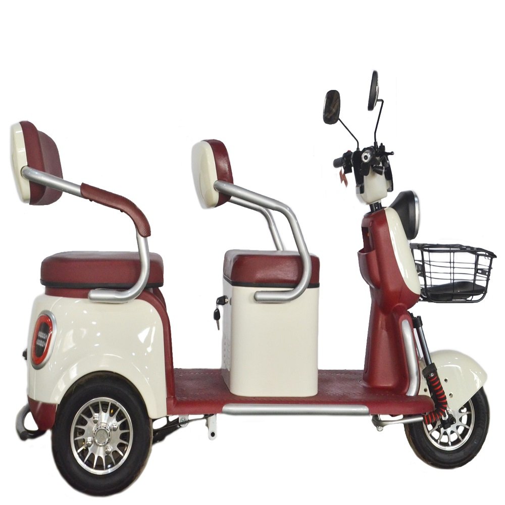 Widely Use 800W Electric Tricycles 3 Wheel Electric Cargo Bike Family Use 2 Seats Electric Scooter 3 Wheel Tricycle