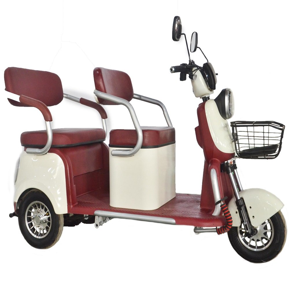 Widely Use 800W Electric Tricycles 3 Wheel Electric Cargo Bike Family Use 2 Seats Electric Scooter 3 Wheel Tricycle