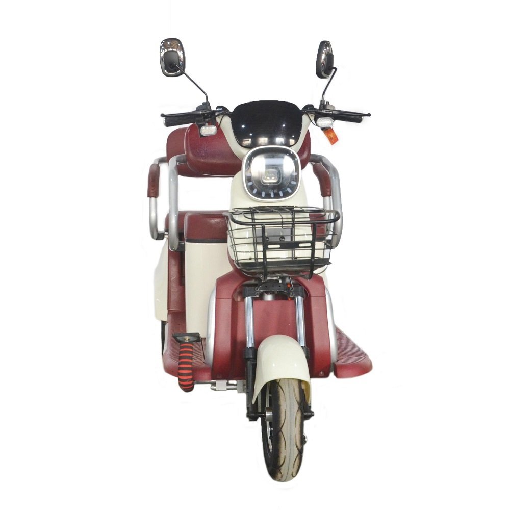 Widely Use 800W Electric Tricycles 3 Wheel Electric Cargo Bike Family Use 2 Seats Electric Scooter 3 Wheel Tricycle