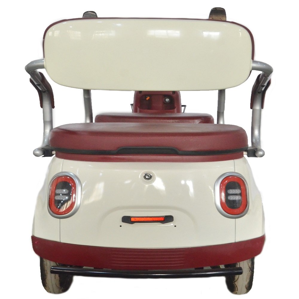 Widely Use 800W Electric Tricycles 3 Wheel Electric Cargo Bike Family Use 2 Seats Electric Scooter 3 Wheel Tricycle