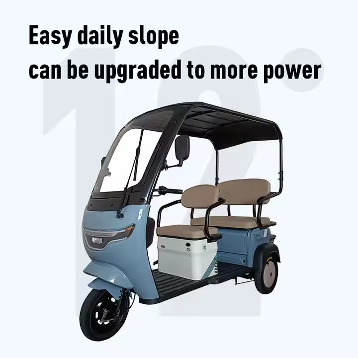 650W Electric Tricycle for Adults Family Use 10inch 3-Wheel Rickshaw Certified 400kg Payload Capacity
