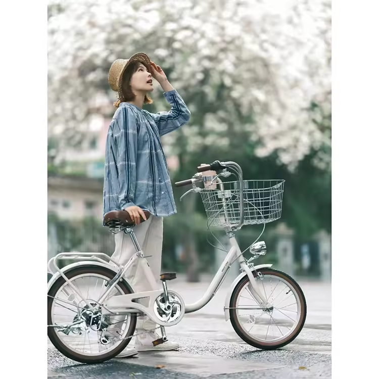 Ladies Bicycle 26 Inch Bicycle with Basket 6 Speed Large and Small Wheels Women Bike