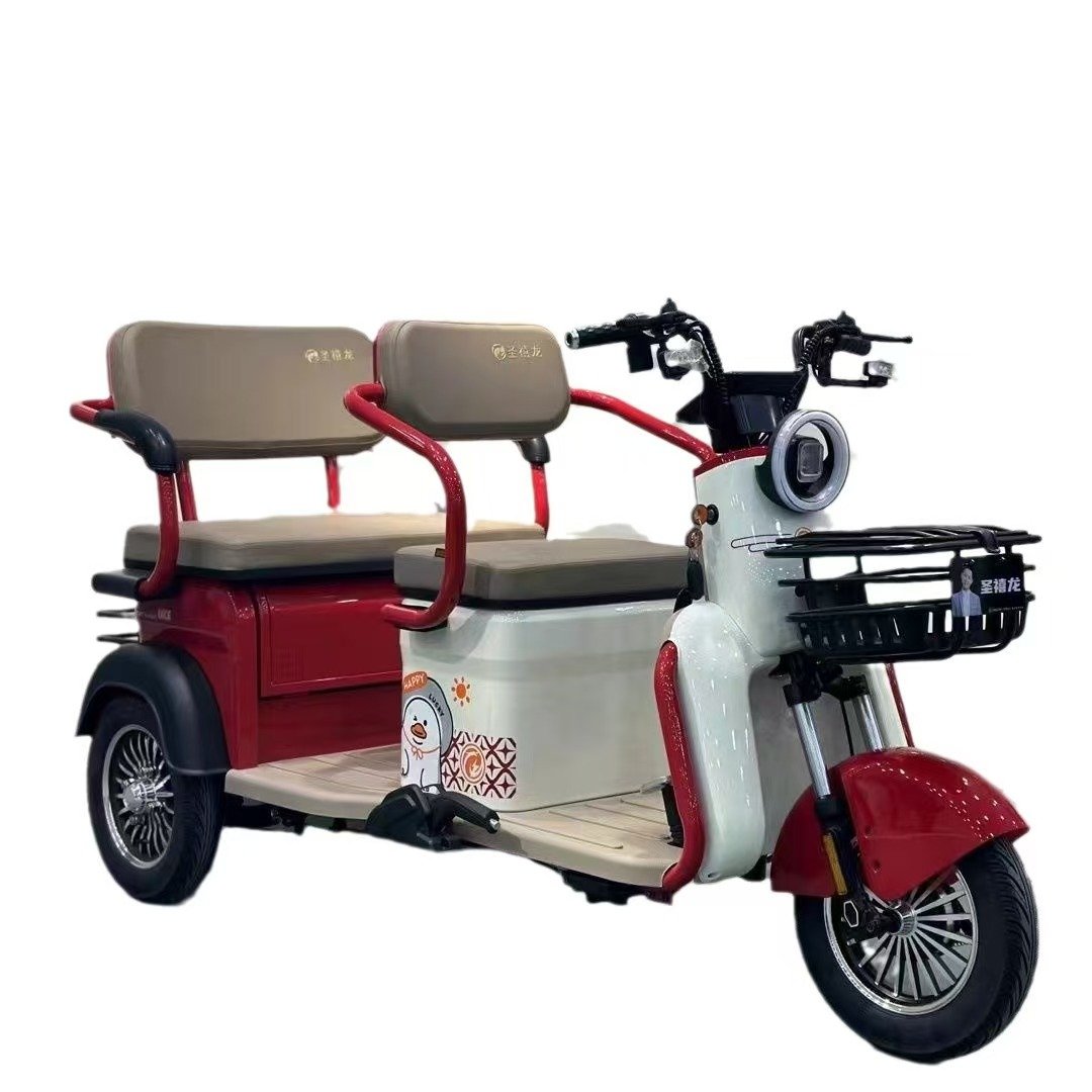 800W 1000W Electric Tricycles 3 Wheel Electric Cargo Bike Household Small Scooter Three-seat Adjustable Electric Tricycles