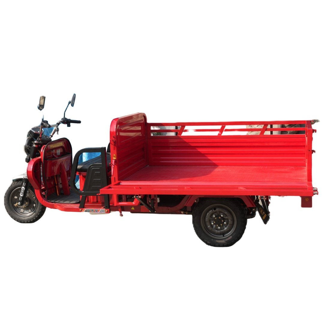 2024 Hot Sale Electric 3 Wheel Mobile Scooter Tricycle 1000W Freight Electric Vehicle Accepted Customized Fruit Transporter