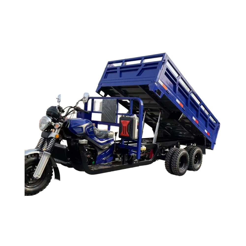 Chinese High Horsepower Manufacture Gasoline Powered Engine 350cc Cargo Tricycle China