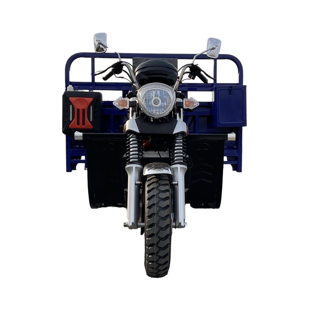 Chinese High Horsepower Manufacture Gasoline Powered Engine 350cc Cargo Tricycle China