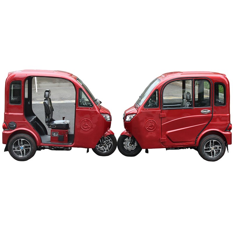 125cc Petrol Passenger Motorized Tricycle Three Wheel Gasoline Motorcycles