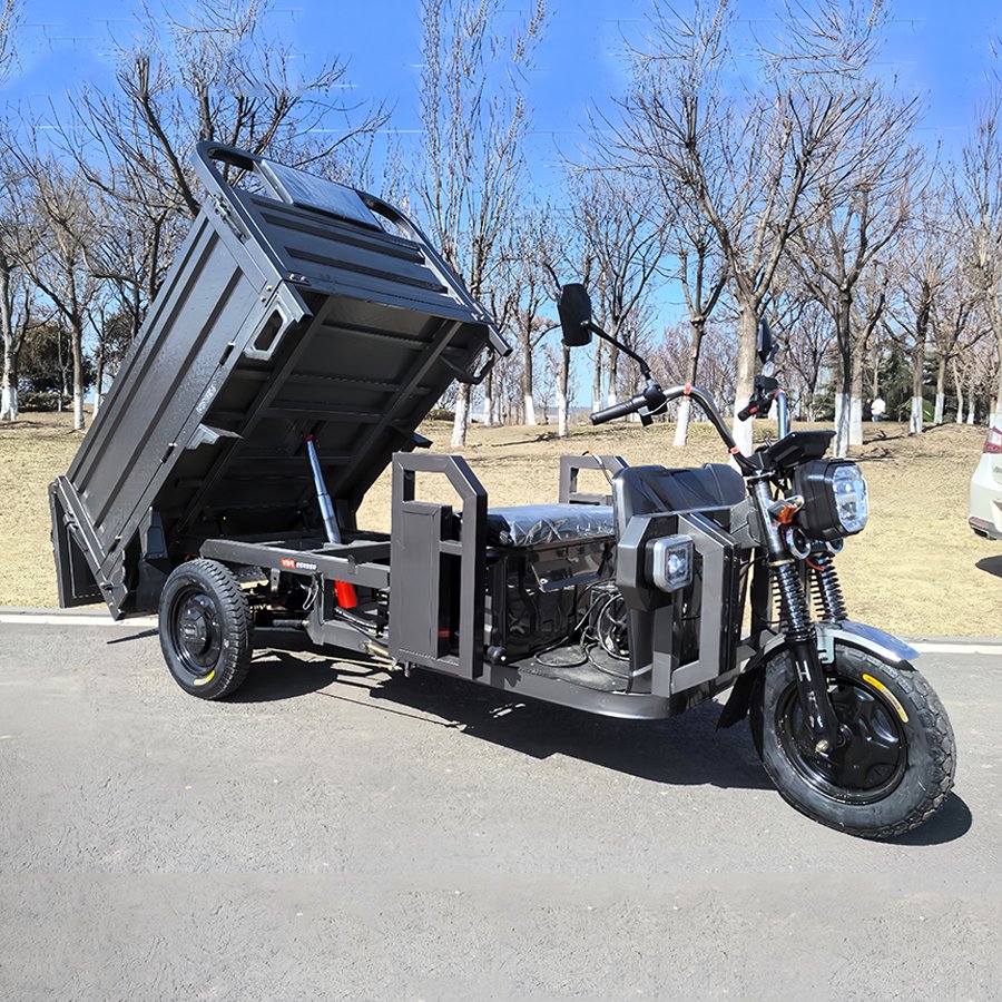 Chinese Electric Tricycle 2000w 2T Cargo Tricycle