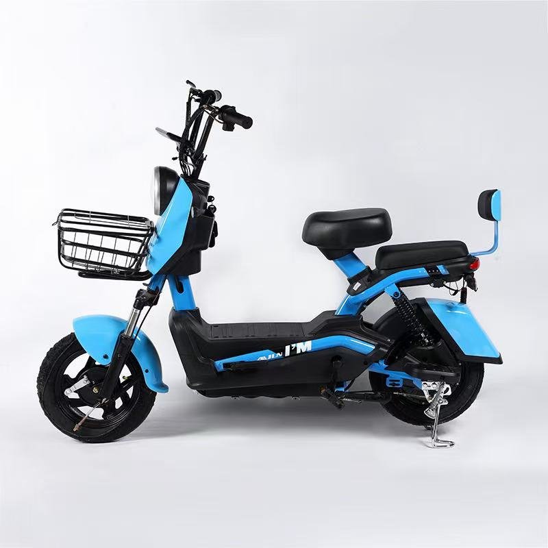 Electric Delivery Vehicle 48v 3-Speed Smart Electronic System Scooter Steel Frame Maximum Speed 45km/h Lead-Acid Battery Adults