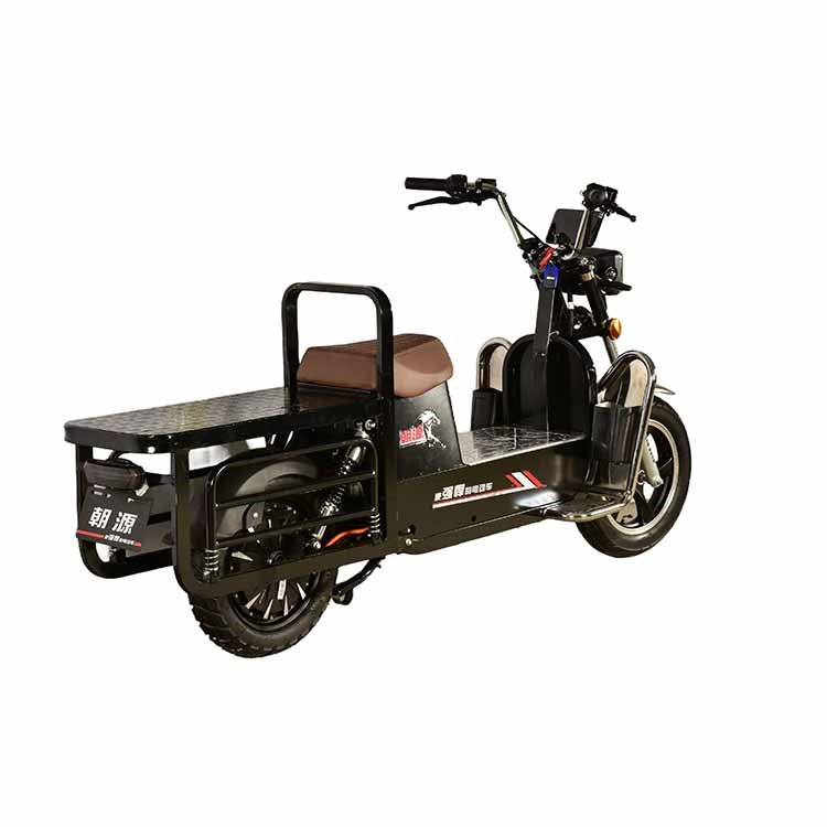 Heavy Cargo Electric Motorcycles with 1.6KW 81.5Kg 12 Inch Wheel Hub Disc Brake 72V and 60V Varieties for Various Terrains