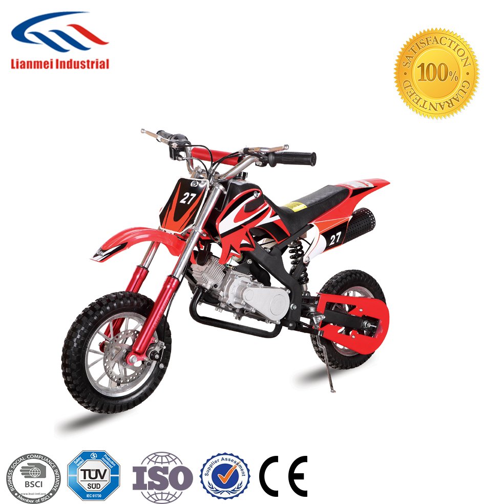 China Supplier Two Stroke 49cc Single Cylinder Motorbike with Big Tyre