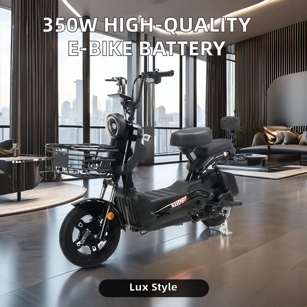 High Quality 350W Brand Battery for Electric Bike Luxury Sportbikes With 48V Lithium Battery