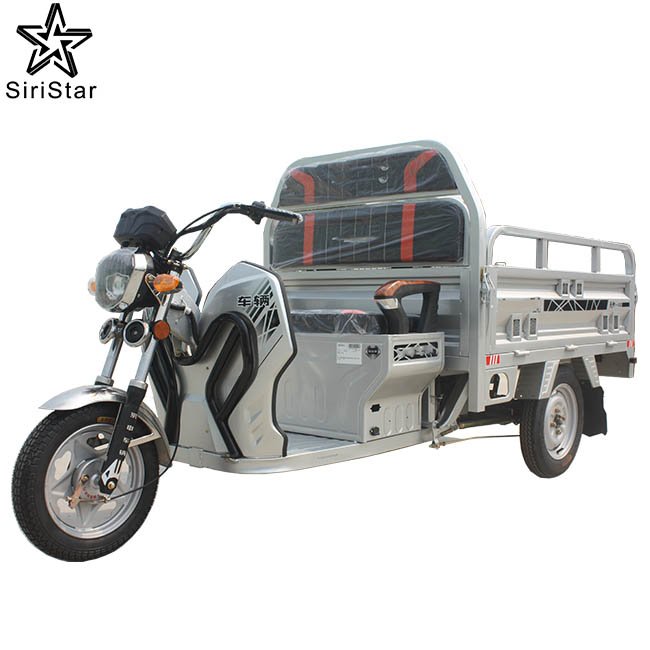 China Enclosed Container Express Electric Tricycle Other Tricycles Cargo Tricycle for Sale