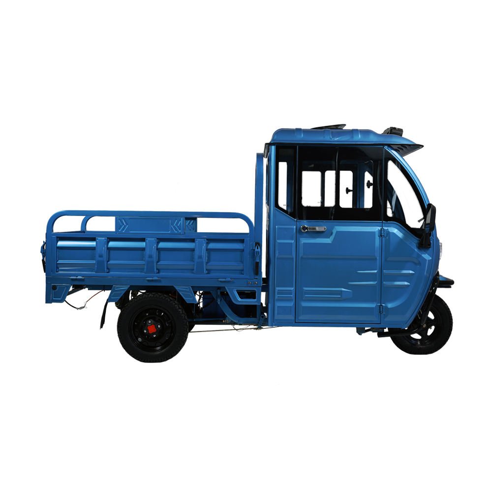 Factory Sales 1000W Cargo Buggy 2 Passengers Electric Tricycle Pickup Truck 800w 12'' Off Road Tire for Transport 3 Wheel Trike