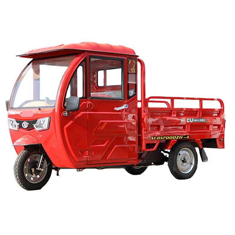 Factory Sales 1000W Cargo Buggy 2 Passengers Electric Tricycle Pickup Truck 800w 12'' Off Road Tire for Transport 3 Wheel Trike