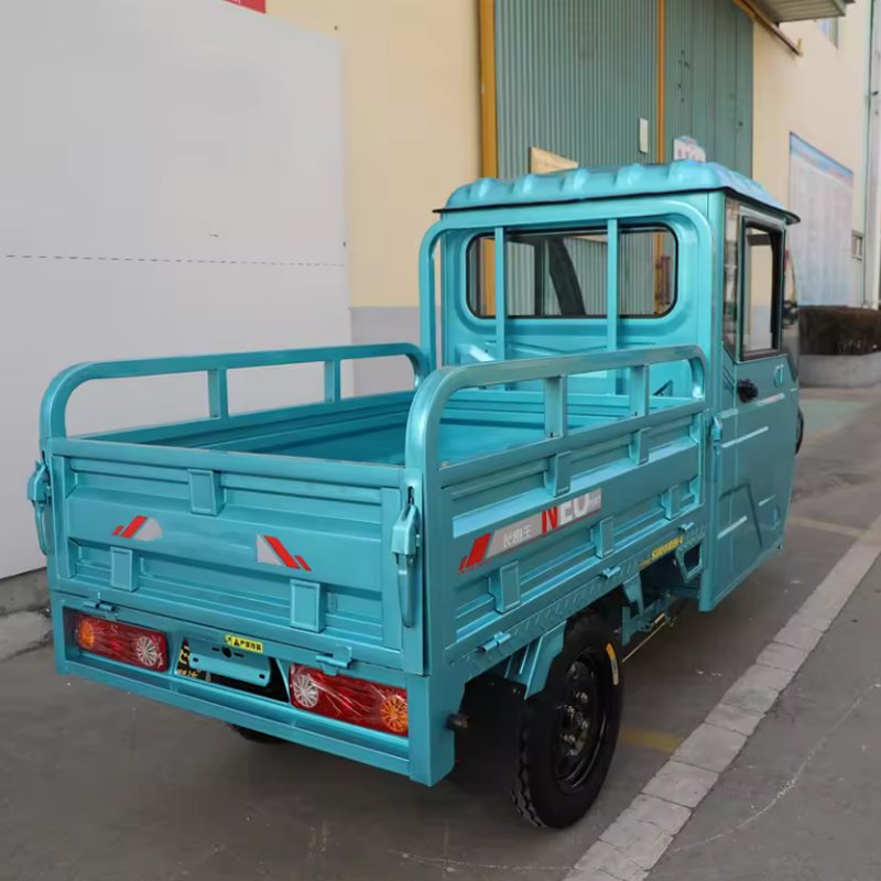 Factory Sales 1000W Cargo Buggy 2 Passengers Electric Tricycle Pickup Truck 800w 12'' Off Road Tire for Transport 3 Wheel Trike