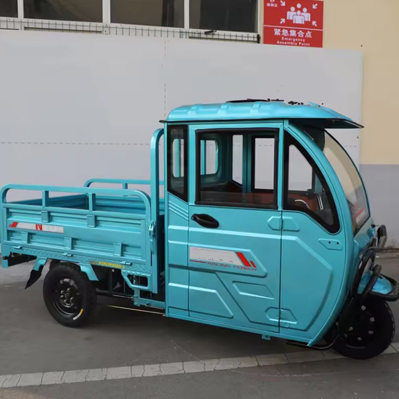 Factory Sales 1000W Cargo Buggy 2 Passengers Electric Tricycle Pickup Truck 800w 12'' Off Road Tire for Transport 3 Wheel Trike