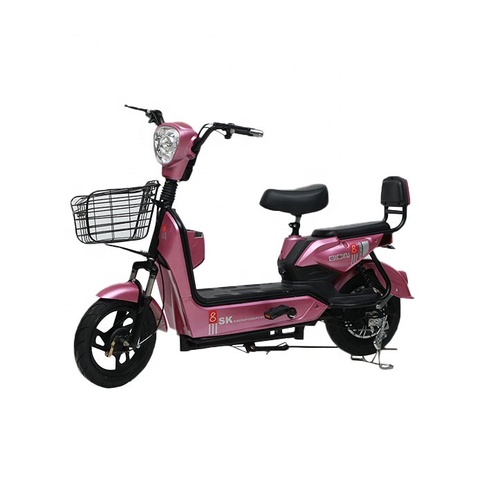 2024 Manufacturer New Design Electric Bike 48v 350w E Bike Drum Brake System Electric Bicycle