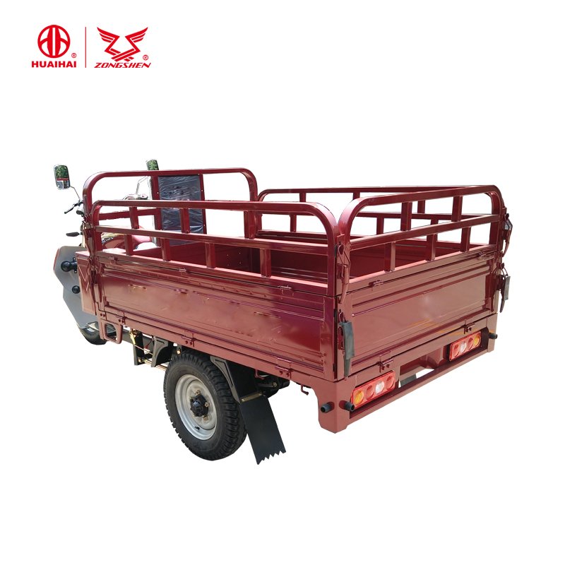 150CC/200CC 3 Wheel Motorcycle for Adults Cargo Tricycles Vehicle Motorized Trike From ZongShen Brand Triciclo Para Adultos