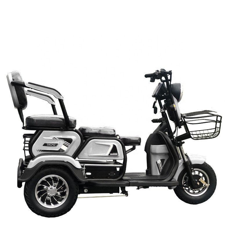 2024 Long Range 3 Passenger Tricycle E Scooter 3 Wheel Electric Bike 1000w