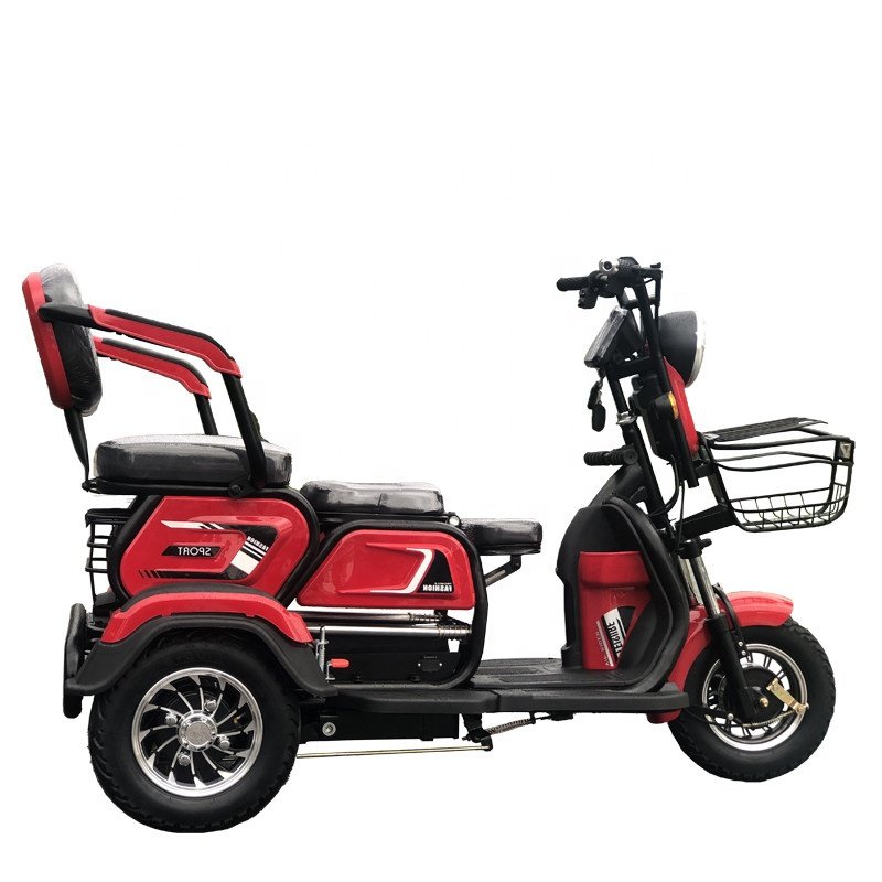 2024 Long Range 3 Passenger Tricycle E Scooter 3 Wheel Electric Bike 1000w