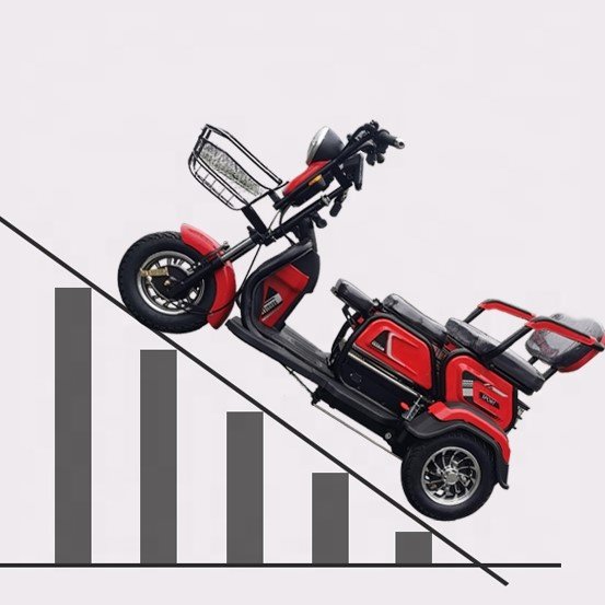 2024 Long Range 3 Passenger Tricycle E Scooter 3 Wheel Electric Bike 1000w