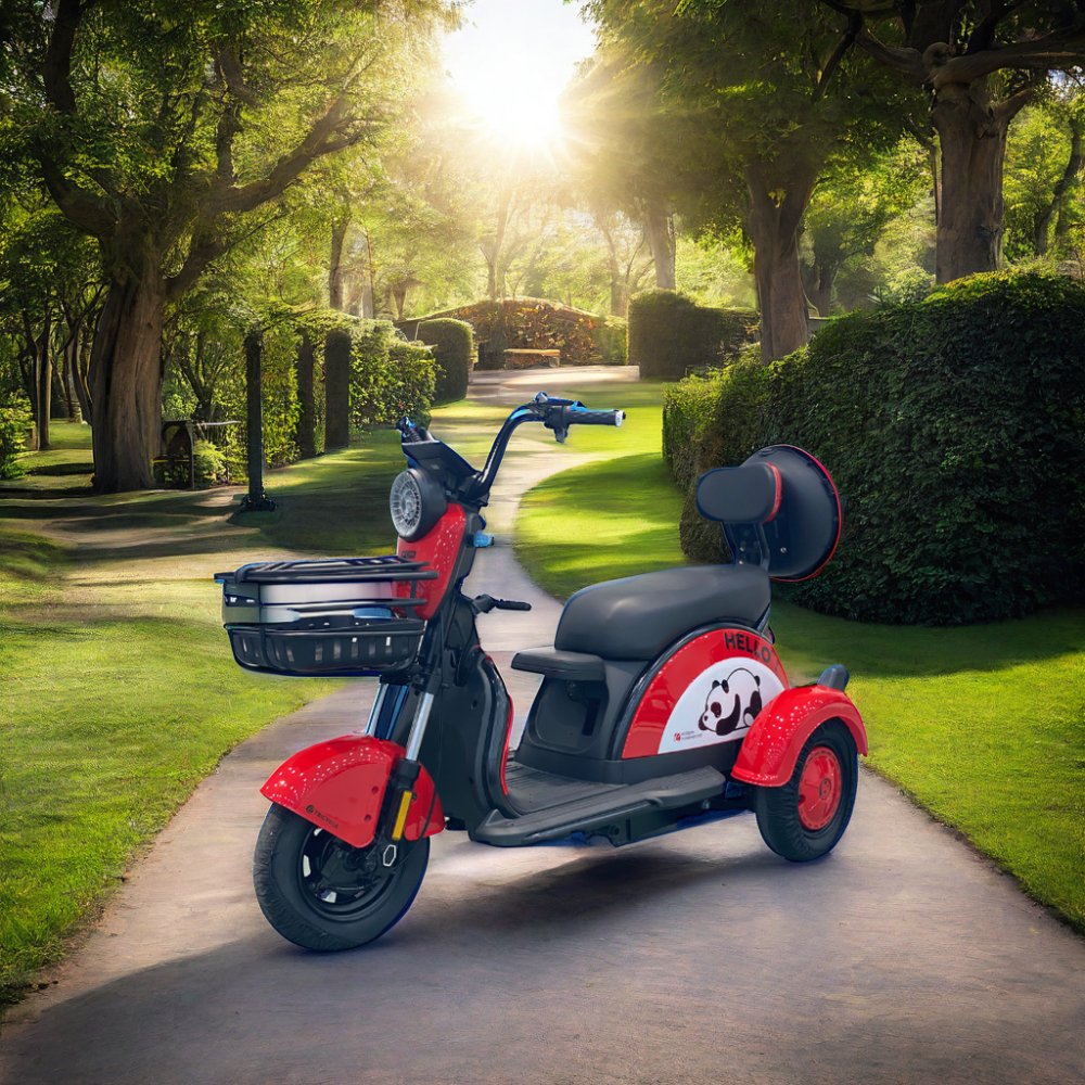 48V 800W BPA-5 Electric Tricycle 3 Wheel Mopeds for Adults Slingshot Motorcycle 3 Wheel Kids 3 Tekerlekli Motosiklet Open 100kg