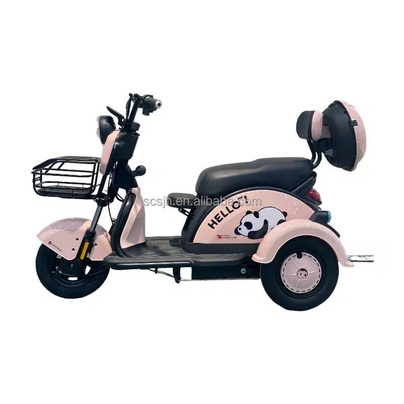 48V 800W BPA-5 Electric Tricycle 3 Wheel Mopeds for Adults Slingshot Motorcycle 3 Wheel Kids 3 Tekerlekli Motosiklet Open 100kg