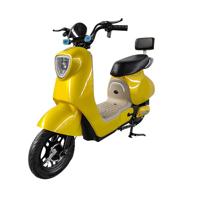 China Cheapest Electric Bicycle Lead Acid Battery Electric Scooter