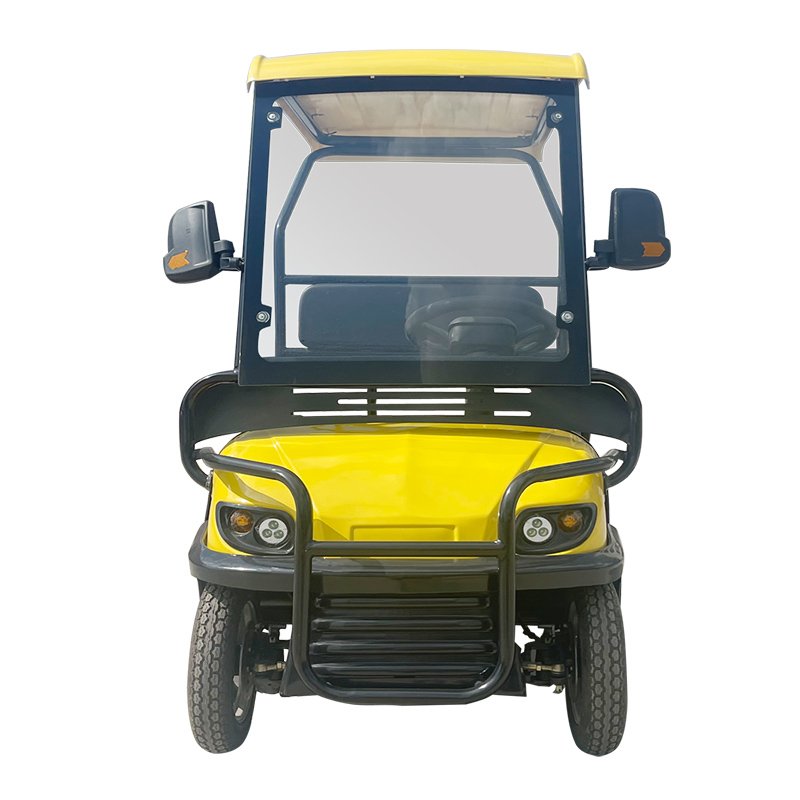 Golf Car 4 Wheels Golf Carts Electric Cargo 2024 Adults 4x4 Golf Cart