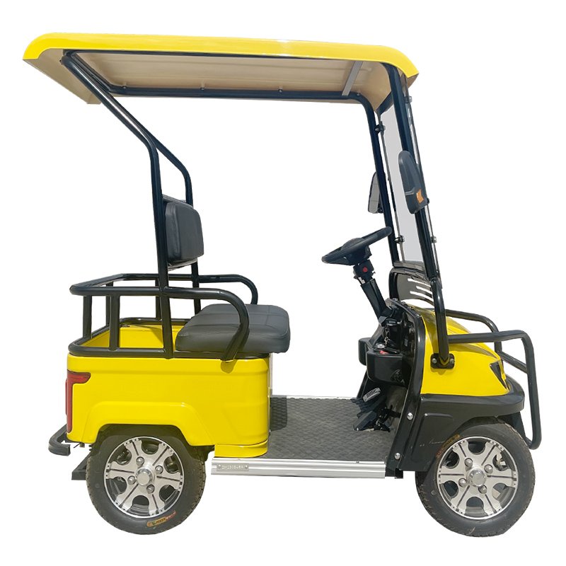 Golf Car 4 Wheels Golf Carts Electric Cargo 2024 Adults 4x4 Golf Cart