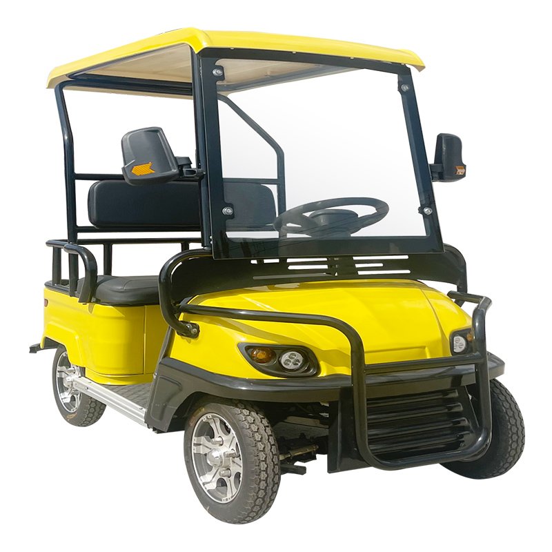 Golf Car 4 Wheels Golf Carts Electric Cargo 2024 Adults 4x4 Golf Cart