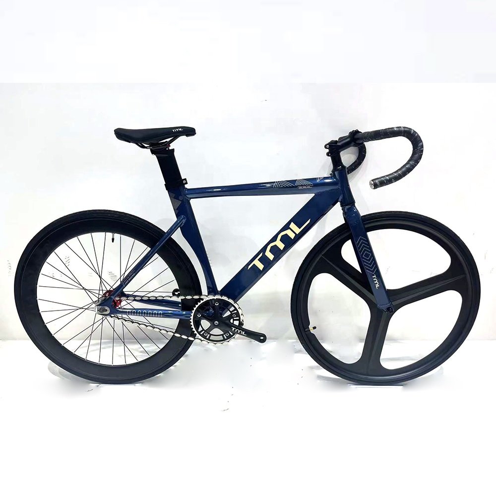 Beautiful Magnesium Alloy Integrated Wheel Fixie Bicycle Frame 700C Fixed Gear Bike for Men