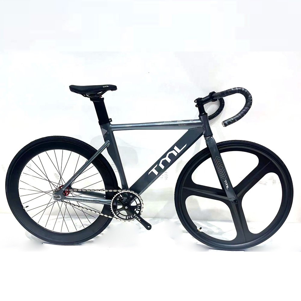 Beautiful Magnesium Alloy Integrated Wheel Fixie Bicycle Frame 700C Fixed Gear Bike for Men