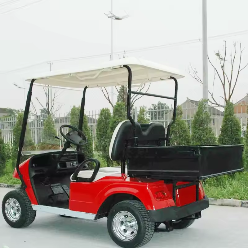 Tong Cai Electric Classic Vintage Tour Bus Design Cargo Cart Four-Wheeler New 90km Driving Mileage 500kg Curb Tail Caddie CE