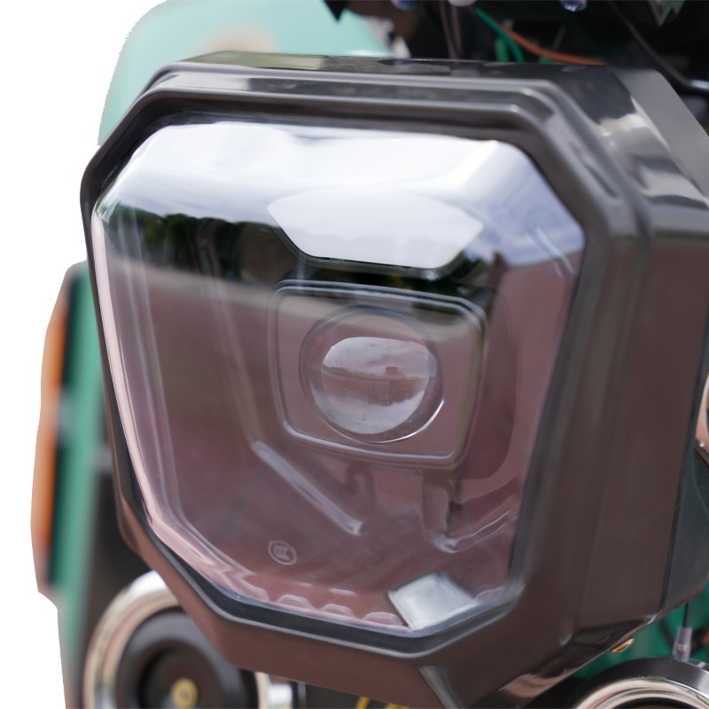 800W Motor Eco-Friendly Electric Cargo Tricycle Open 60V Electric Passenger Tricycle Turn Signal Drum Brake EEC DOT Certified