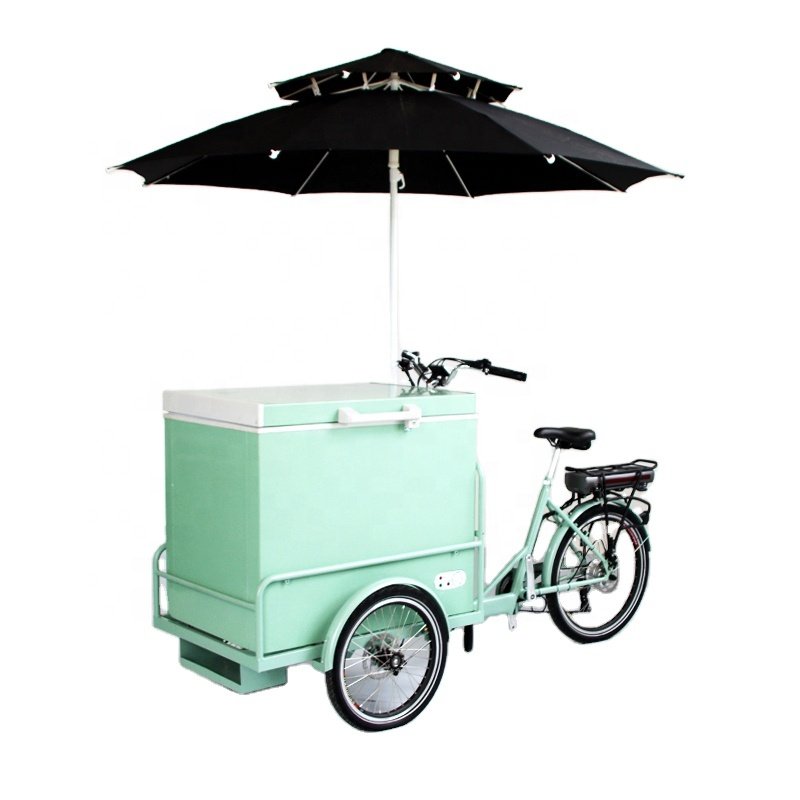 Commercial Small Ice Cream Popsicle Cart Push Cart Trolley Ice Cream Bike