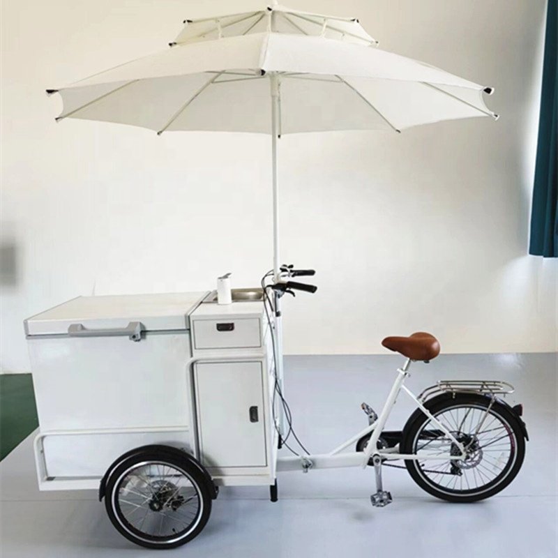 Commercial Small Ice Cream Popsicle Cart Push Cart Trolley Ice Cream Bike